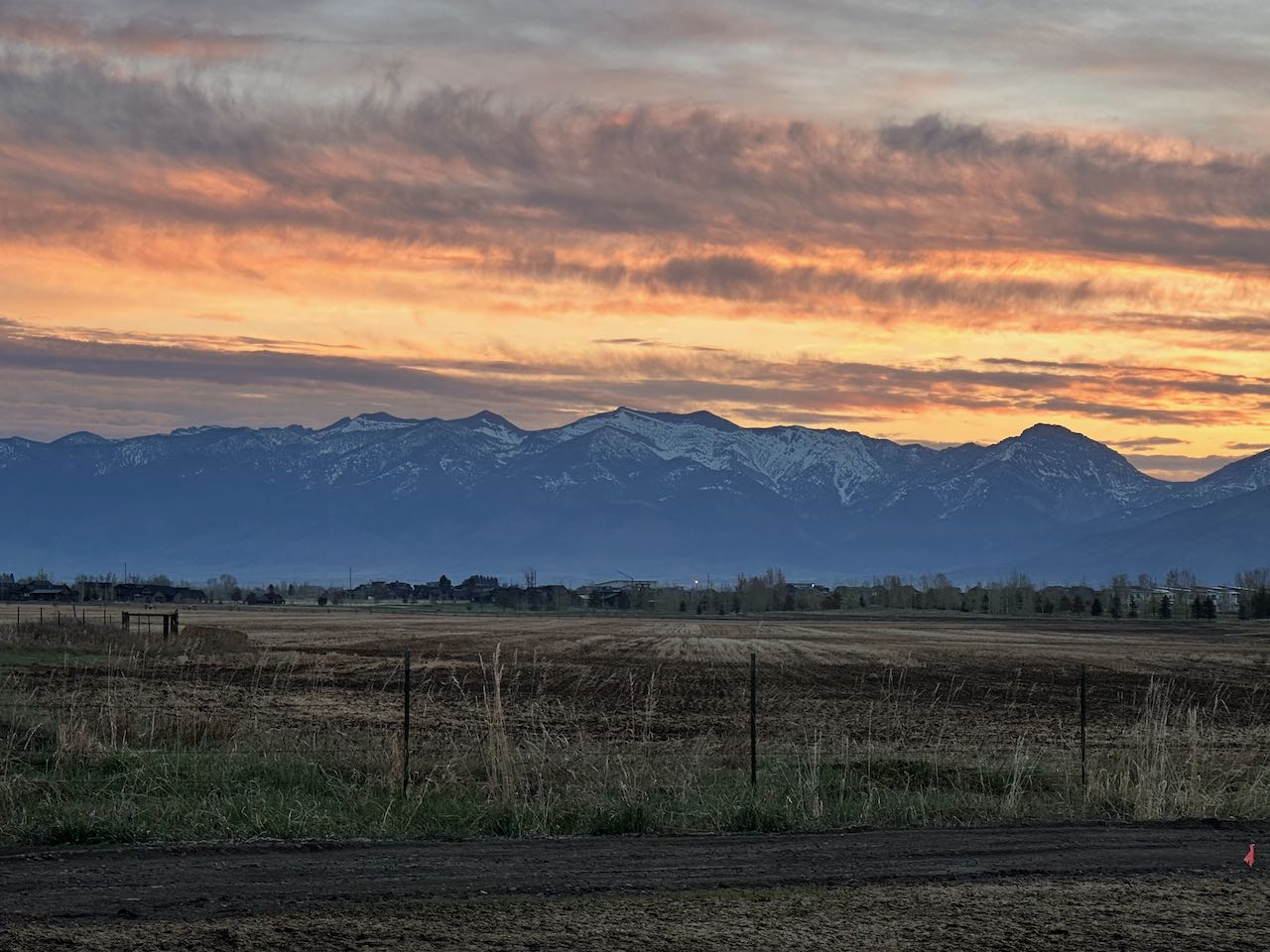 Montana